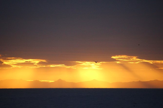 Midnight Sun Whale Watching from Reykjavik - Warmth and comfort: thermal overalls, heated seating, and sea-sickness support