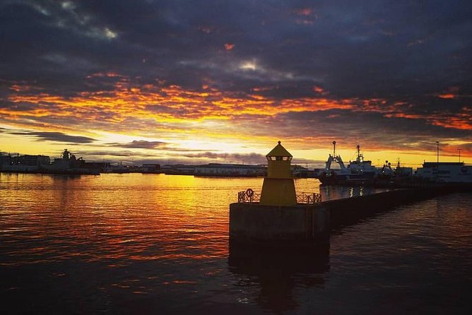 Midnight Sun Whale Watching from Reykjavik - The sighting guarantee: how the free retry actually changes your risk