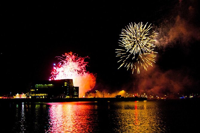 New Year's Eve Fireworks Cruise in Reykjavik - Key highlights worth planning for