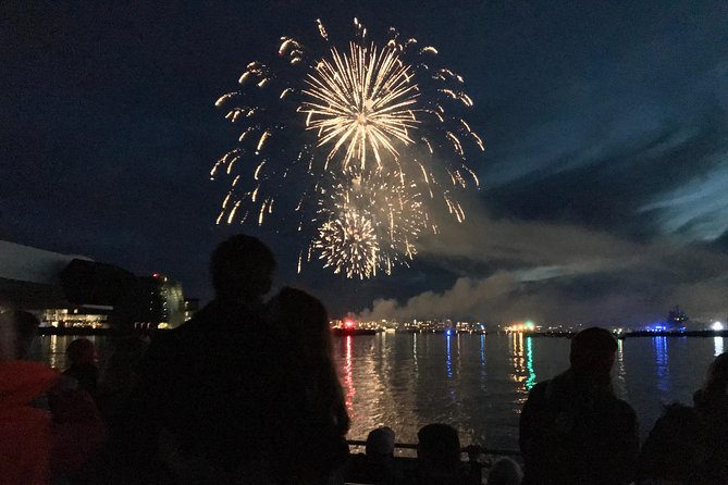 New Year's Eve Fireworks Cruise in Reykjavik - Audio commentary and the reality of staying warm