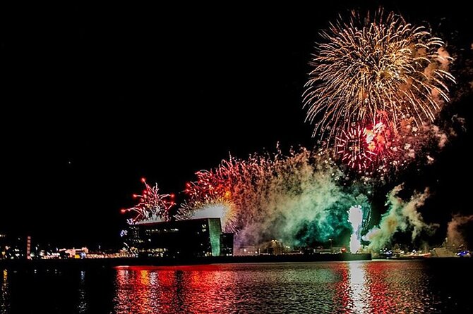 New Years Fireworks by Boat from Reykjavik - Who This Cruise Fits Best (and Who Might Skip It)