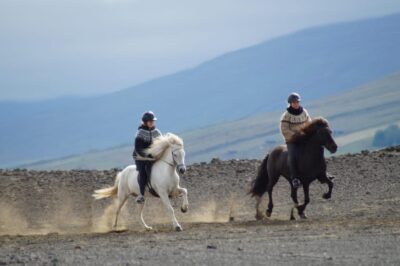 North Iceland: Horseback Riding Tour - A 2-Hour Circuit Through North Iceland’s Terrain