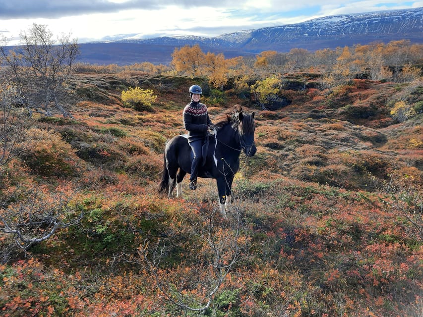 North Iceland: Horseback Riding Tour - What’s Included, What’s Not, and the Stuff You’ll Actually Need