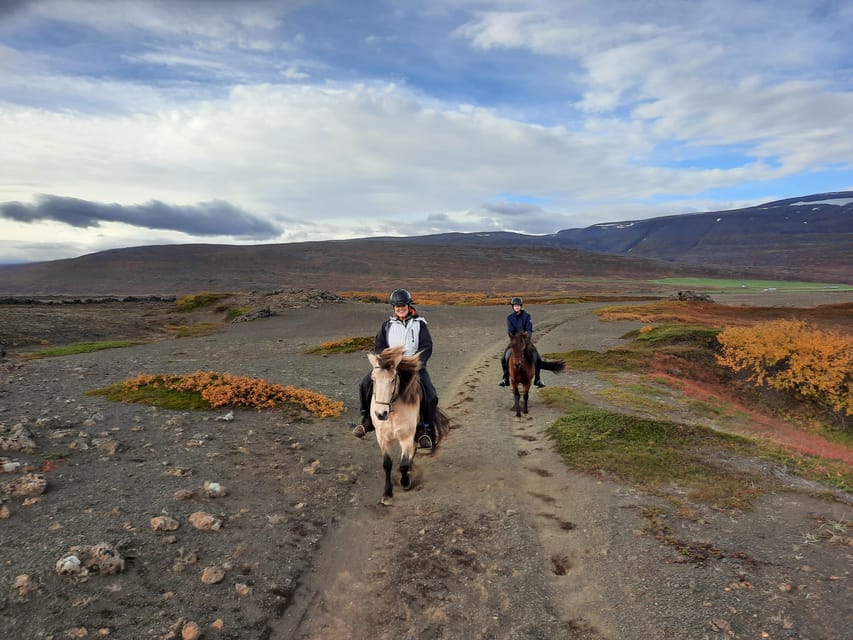 North Iceland: Horseback Riding Tour - Group Size and Guide Style: Why Audrey and Anna Get Mentioned
