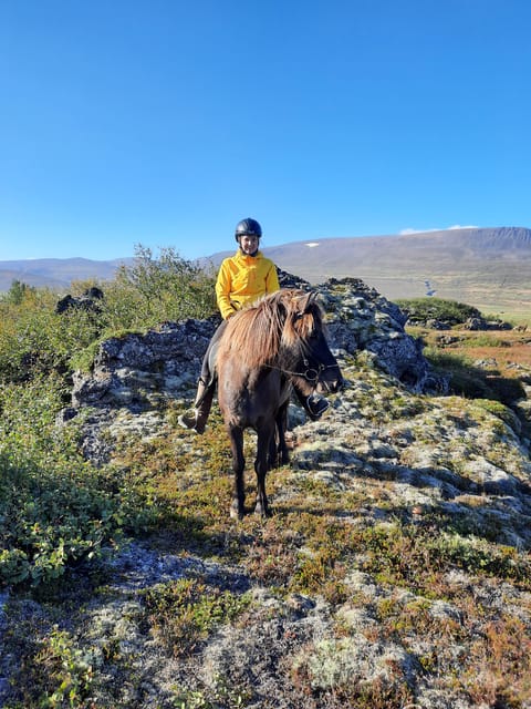 North Iceland: Horseback Riding Tour - Who Should Book This North Iceland Horseback Tour