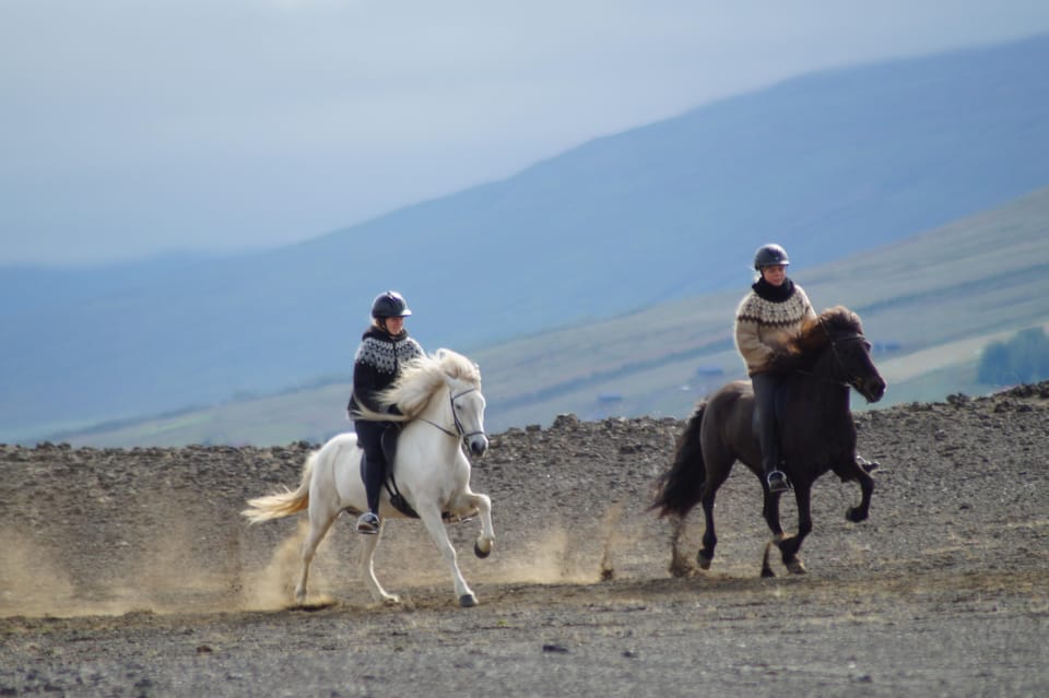 North Iceland: Horseback Riding Tour - A 2-Hour Circuit Through North Iceland’s Terrain