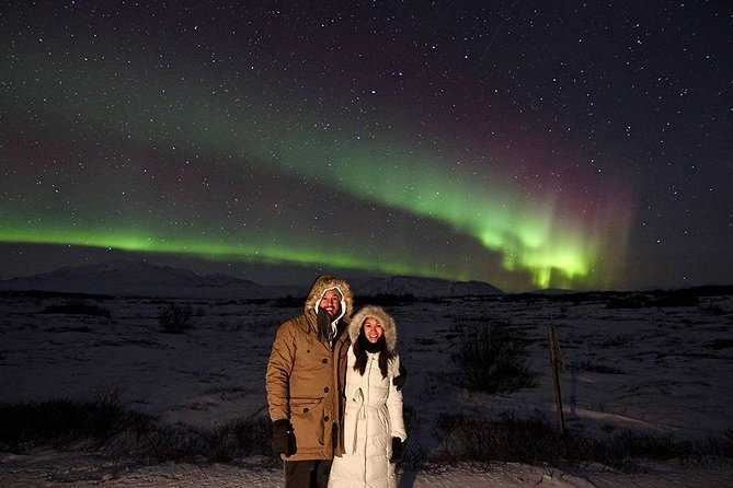 Northern Lights and Stargazing Small-Group Tour with Local Guide - Price and what you’re actually paying for at $234.50