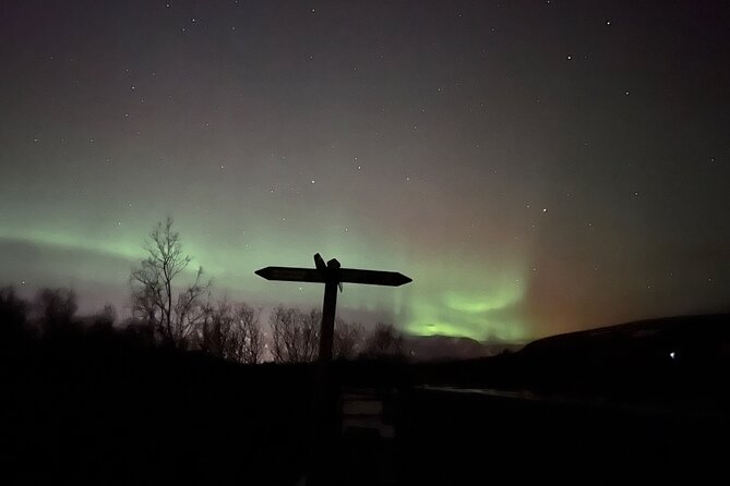 Northern Lights ATV Quad Adventure from Reykjavik - Should you book this ATV aurora adventure?