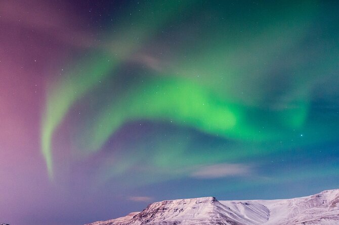 Northern Lights Boat Cruise from Reykjavik - Comfort details that make a cold night easier