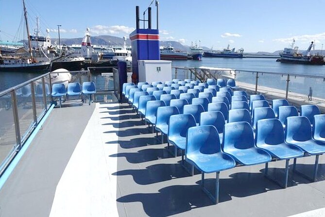 Northern Lights Boat Cruise from Reykjavik - Wildlife odds on the water (yes, it’s part of the northern lights game)
