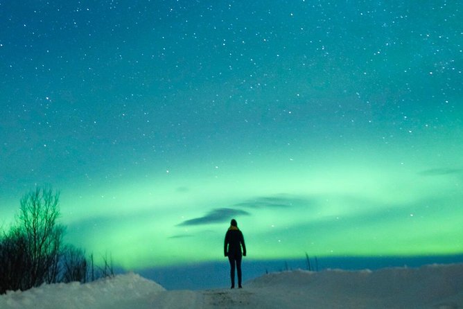 Northern Lights Bus Tour from Reykjavik with Hot Chocolate - The Aurora “Chase” Method: How Guides Keep You From Losing the Night