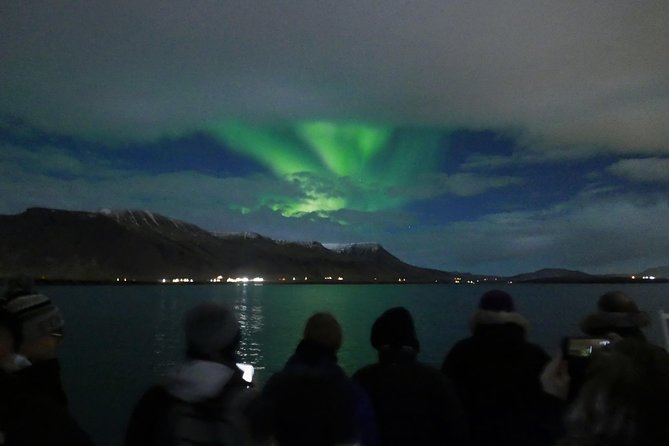 Northern Lights Cruise from Reykjavik Including Photos - Itinerary in plain language: what happens during those 2.5 hours