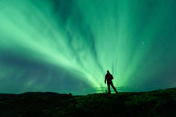 Northern Lights Guided Bus Tour from Reykjavik - Key things to know before you go