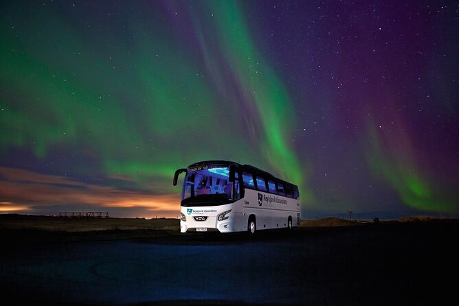 Northern Lights Guided Bus Tour from Reykjavik - What you’ll do once you stop: standing in the cold, with a plan