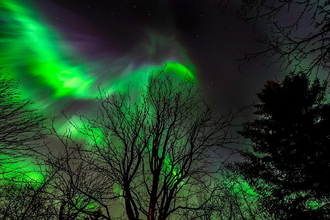 Northern Lights Tour from Reykjavik with Lifetime Guarantee - Northern Lights From Reykjavik: The 3-Hour Reality Check