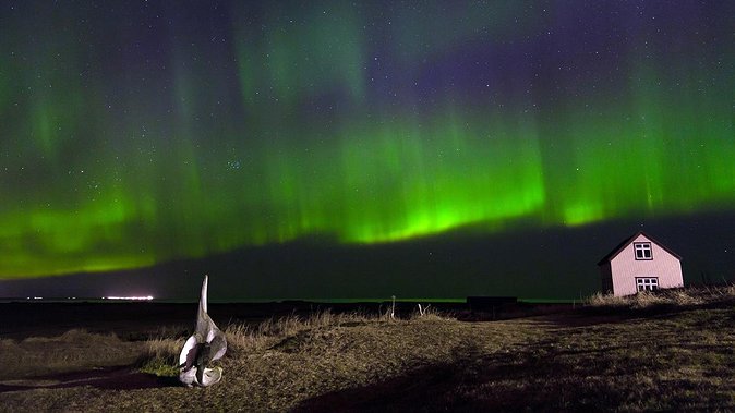 Northern Lights Tour from Reykjavik with Lifetime Guarantee - Getting There: Meeting Point, Pickup Options, and Staying Human