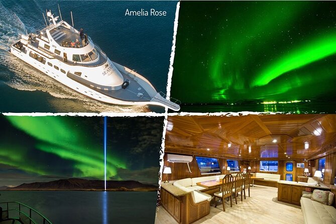 Northern Lights Yacht Cruise in Reykjavik - When the lights appear, the captain makes it count