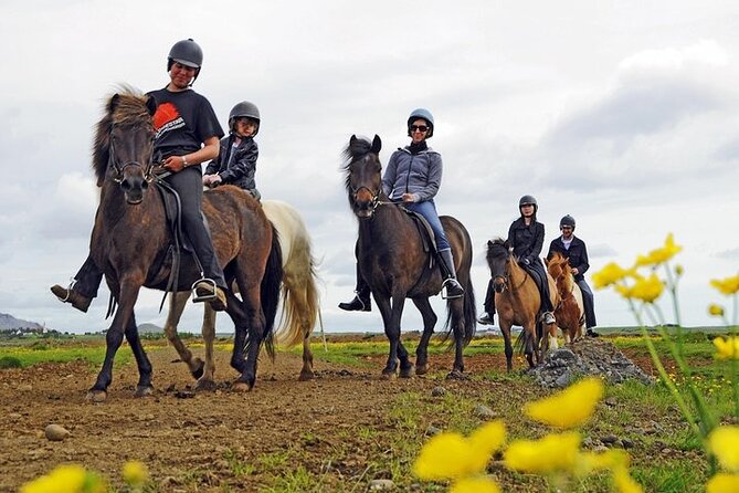 One-Hour Horseback Riding Tour in the Icelandic Countryside - Key highlights worth planning around
