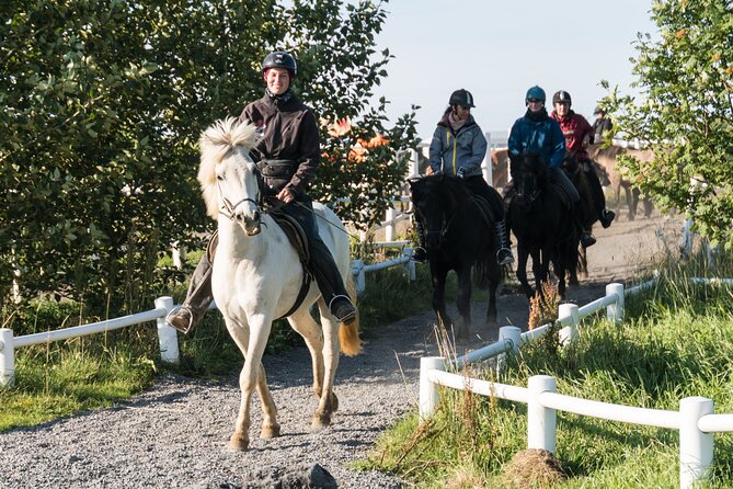 One-Hour Horseback Riding Tour in the Icelandic Countryside - Starting at Hótel Eldhestar: the easy base for a 1-hour ride