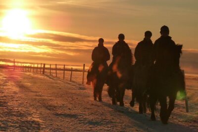 One-Hour Horseback Riding Tour in the Icelandic Countryside - What you do during the one-hour horseback session