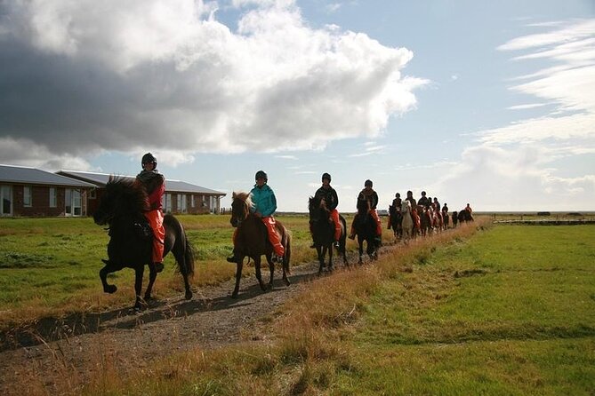 One-Hour Horseback Riding Tour in the Icelandic Countryside - Price and value: what $94.95 buys you in South Iceland