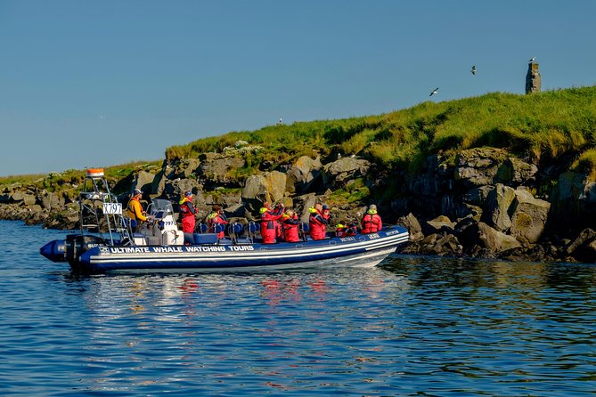 Premium Small-Group Puffin & Bird Watching tour from Reykjavík - Stop 1: the short start that sets the tone