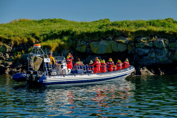 Premium Small-Group Puffin & Bird Watching tour from Reykjavík - Price and value: how $105 fits the experience