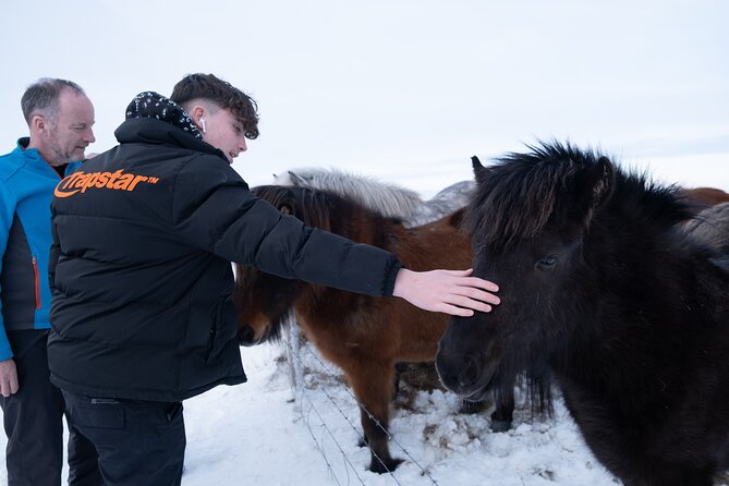 Private 3 days Tour and Northen Lights Experience with Photography with Luke - Should you book it? A simple decision guide
