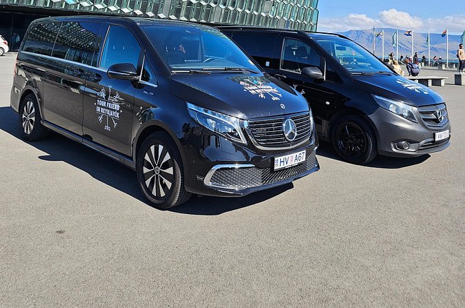 Private 6 Hour Airport or Cruise Tour with Transfer - Taste of Iceland + Skyr and Fermented Shark