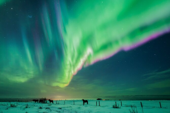 Private Aurora Hunt with Photos in Super Defender - Professional photos and how to improve your own shots