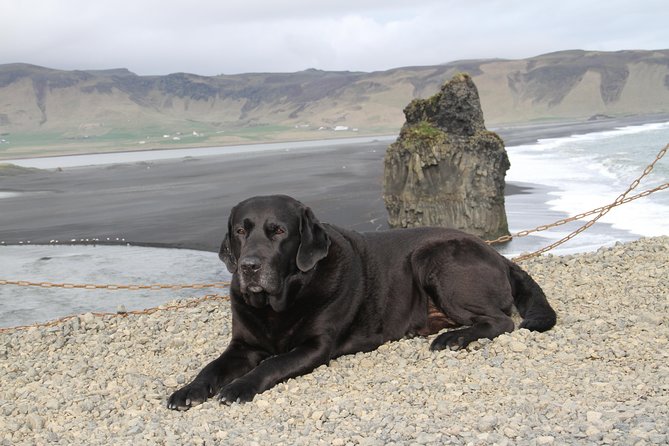 Private Day Trip to the Icelandic South Coast from Reykjavik - How the day starts: pickup at 10:00 and staying flexible all day