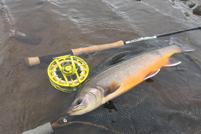 Private Fishing Tour from Reykjavik - Arctic Char and Brown Trout - Native fish and what that means for your expectations
