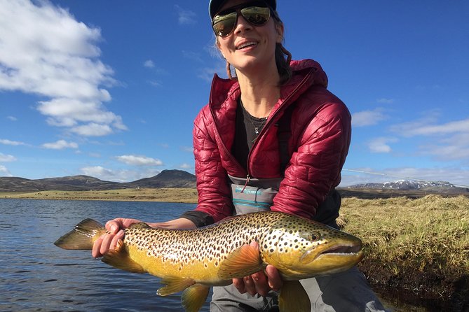 Private Fishing Tour from Reykjavik - Arctic Char and Brown Trout - Private guiding: names to know and why it matters