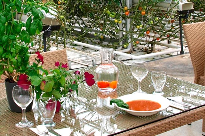Private Golden Circle, Sky Lagoon and Friðheimar Greenhouse Lunch - Who should book this, and who should consider another option