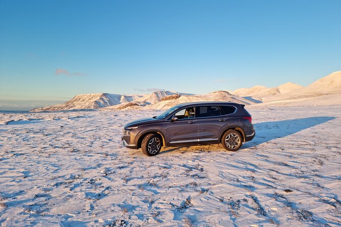 Private Golden Circle Tour - Timing Tips for a 6 to 8 Hour Iceland Day