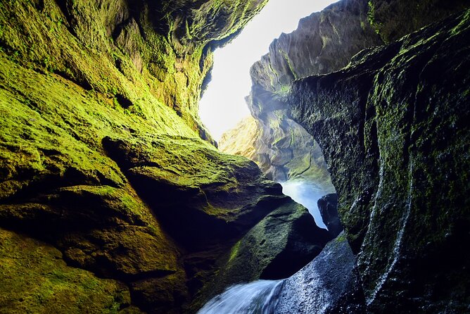 Private Half Day Iceland Tour with Guide and Vehicle - Price and value: $865 per group, but what are you actually buying?