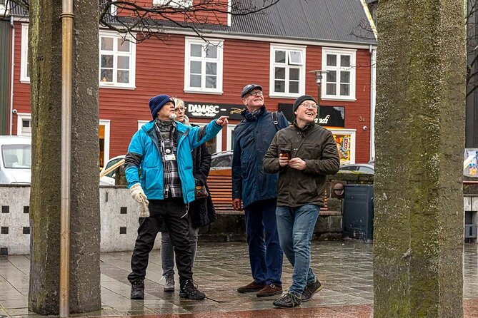 Private Icelandic Viking Age Walking Tour - Meeting at Hlöllabátar (Ingólfstorg) and Finishing at Hallgrímstorg