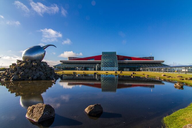 Private Keflavik Airport/Reykjavik Harbour Transfers - What Happens After You Land: Pickup That Works With Immigration Timing