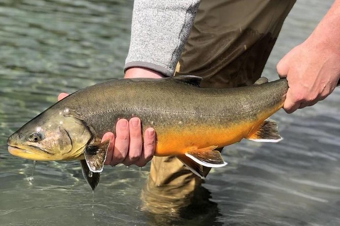Private Lake and River Fishing Tour from Reykjavik - A day built around Golden Circle river fishing