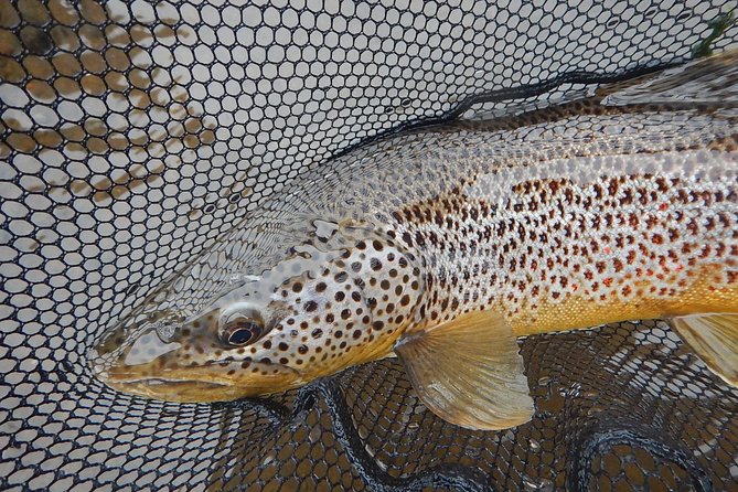 Private Lake and River Fishing Tour from Reykjavik - What’s included (and what you’ll need to plan)