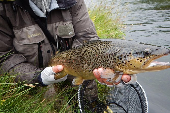 Private Lake and River Fishing Tour from Reykjavik - Timing, weather, and the all-conditions reality