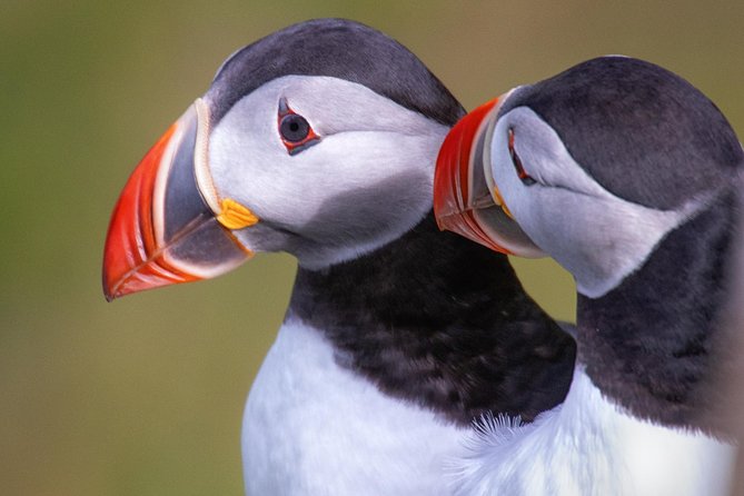 Private South Coast Tour with a Professional Photographer/Guide - How the photographer-guide actually improves your photos