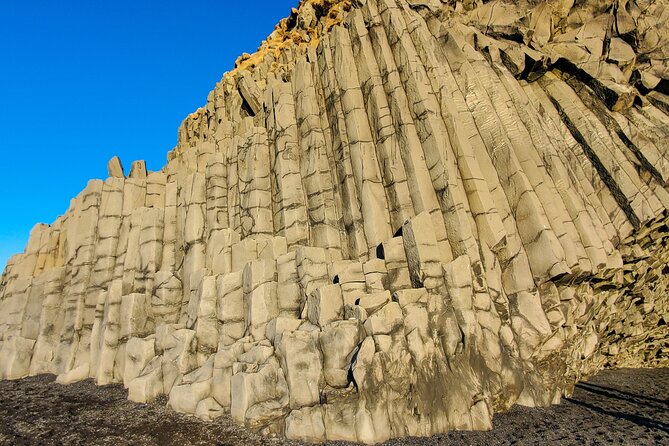 Private South Coast Tour with Katla Ice Cave - The black sand plain with lupine bloom: a seasonal mood changer