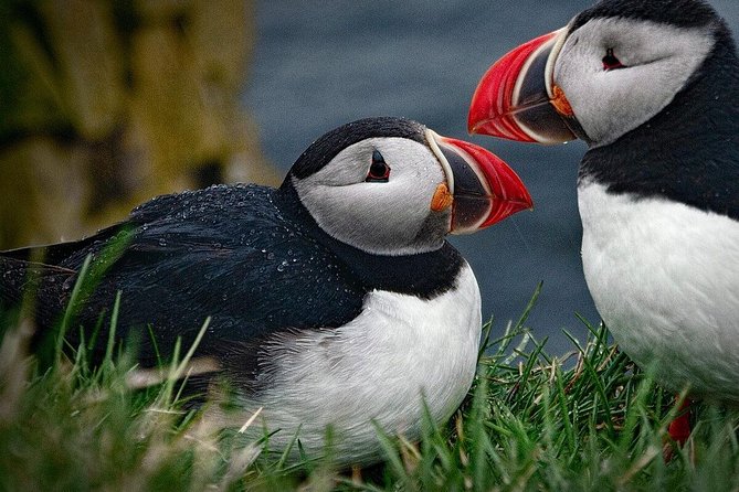 Private Tour: South Coast of Iceland by SUV or Van from Reykjavik - Vík Quick Stop: A Breather Before the Return Drive