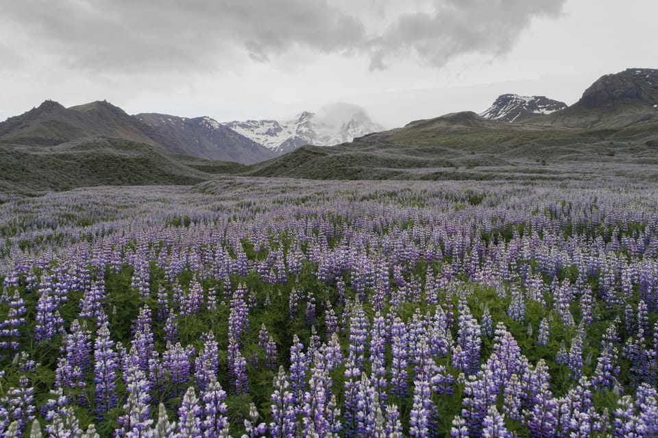 Private Tour to Landmannalaugar. Explore the Highlands - Landmannalaugar Hiking: Rhyolite Mountains and a Smart Pace