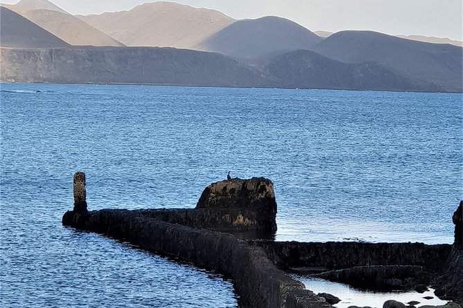 Puffin Travel choice - We decide where to go. Do it like locals - A Private Day From Reykjavik That Feels Like Local Time