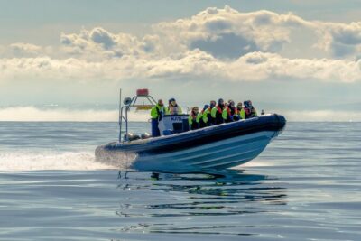 Puffin Watching Speedboat Express - Fast to the Islands, Then Quiet When You Arrive