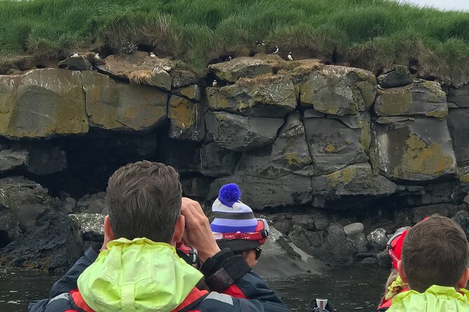 Puffin Watching Speedboat Express - Videy Island Time: Your Best Chance to See Puffins