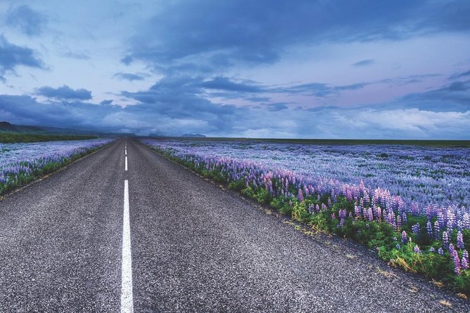 Rent Unlimited High Speed pocket Wifi in Iceland - Signal confidence: what to expect day to day