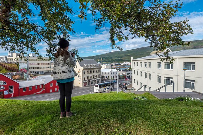 Revel in Reykjavik: Unveiling Iceland’s Charismatic Capital - Austurvöllur square and Rainbow Street: where the city shows its personality